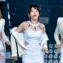 세리패션