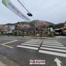 퇴촌부동산전시장I 공인중개사사무소 | 경기광주 토지 퇴촌 2차선 소형 상가부지 매매 위치 굿