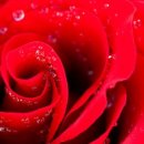 부천편안한산부인과의원 이미지