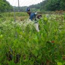 비당농장 이미지