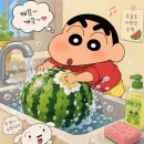 다올찬 | 쿠팡수박 프리미엄 프레쉬 🍉 햇사레 다올찬 맹동 꿀수박 9kg 이상 22,900원 새벽배송 💚 내돈내산 후기