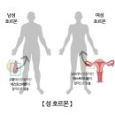 성이
