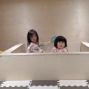 구공스테이 세종 | 내돈내산 세종 키즈풀빌라 [구공스테이 안온] 후기