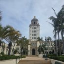 비버리 힐 이미지