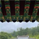 정동진3리 이미지