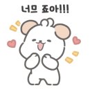 중일슈트