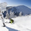 플렌티숲 이미지