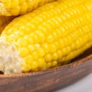 제주의 이유 이미지