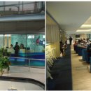 환승약국 이미지