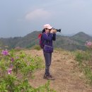 댄스스포츠 & 웰빙댄스교실 이미지