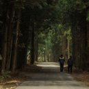 시인의 사랑 이미지