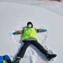 튼튼태권도장 이미지