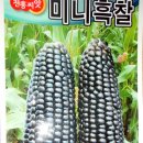 덕풍 2농장 이미지