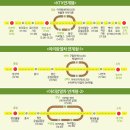 아리랑열차 연계형 시티투어2 이미지