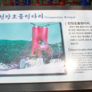 성일고속관광