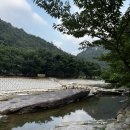 [완주 동상계곡] 장군봉산장 예약 평상대여 주말 방문후기