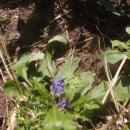 금창초등학교 이미지