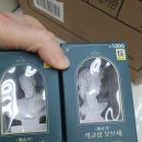 예쁜종합화장품 | 다이소 봄 신상품 원예용품 관엽식물 영양제 , 미니 석고상 오브제 내돈내산 후기~ 🌿