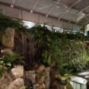 버터 플라이짐 이미지