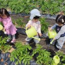 다현어린이집 이미지