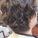 아늑 화곡점 | 새로운 스타일 찾기, 화곡역미용실 보그헤어 화곡점 다녀온 후기요!