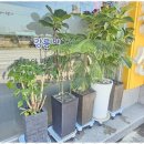 강릉부동산오늘 공인중개사사무소 이미지