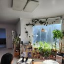 궁남로스테이 이미지