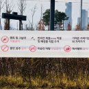 호수공원중앙수목원로 이미지