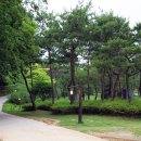 죽향민박 이미지