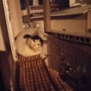 수상한 집 이미지