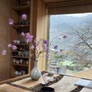 녹차향기 | 하동 쌍계사 근처 녹차 체험 도재명차 내돈내산 후기