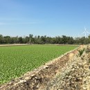 블루에너지 이미지