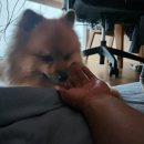 마이펫 부산대점 이미지