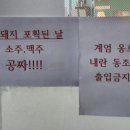 난이식당 이미지
