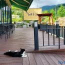 헤브론153 카페 이미지