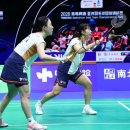 배드민턴 이미지