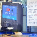 속초대게축제 | 속초중앙시장 대게찜 홍게 게딱지볶음밥 수율실한 아빠가잡아온붉은대게