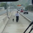 세운버스 이미지