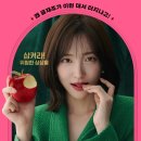 동화지 이미지
