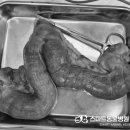 스마트동물병원 군자점 이미지