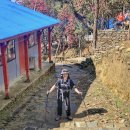[네팔 히말라야 트레킹 Day8] 안나푸르나베이스캠프ABC트레킹&마르디히말트레킹(포레스트캠프Forestcamp...