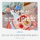 카우치존, 오두막존에서 놀기 | 대전근교 논산 딸기체험 논산딸기아인팜 내돈내산 솔직 후기