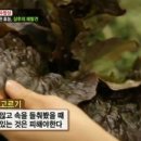 천수한의원 이미지