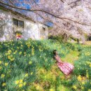 구항면 내현마을회관 이미지