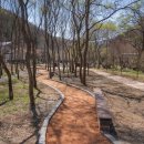 백야자연휴양림 | [기자단] 백야자연휴양림에 새롭게 조성된 백야맨발황톳길 산책 후기