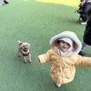 글램독청평 이미지