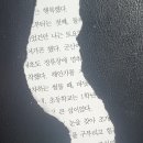 남희철 - 돌고래의 꿈 외 2편 이미지