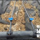 남경축산 | 남경 농업용 여과기, 설치만 잘해도 수확이 달라집니다 알파Q