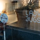 간선5 | 목포항 카페 추천! 배 타기 전 들르기 좋은 레이디벅스 터미널점 후기