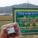 무영농원 이미지
